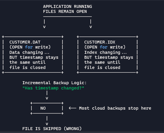 Cloud Backup Failure
